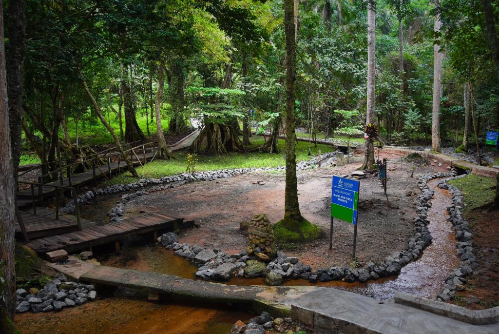 Ikogosi Warm Springs