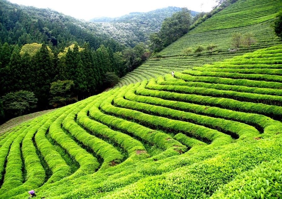 cool landscape