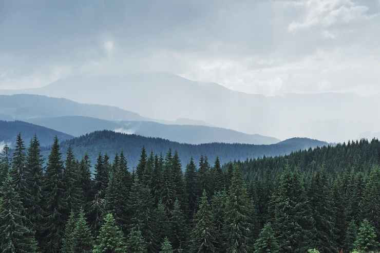 https://starapravda.com.ua/blog/ynteresnыe-faktы-o-karpatah-na-lyuboj-vkus/