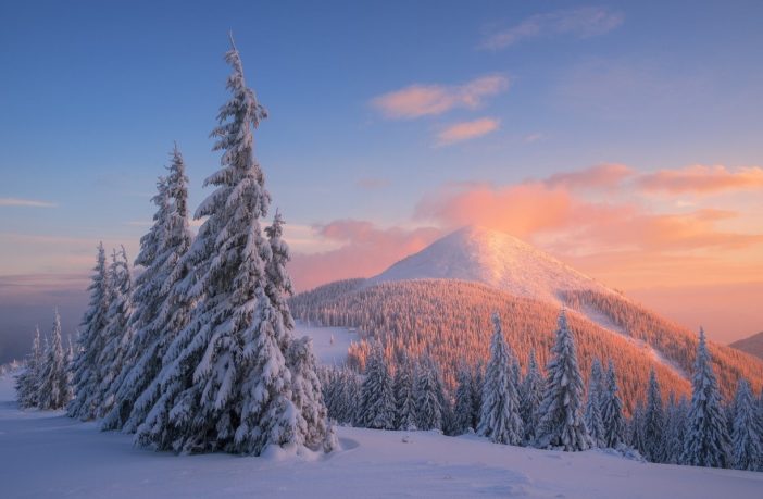 https://lviv1256.com/lists/50-vrazhaiuchykh-fakty-pro-ukrains-ki-karpaty/
