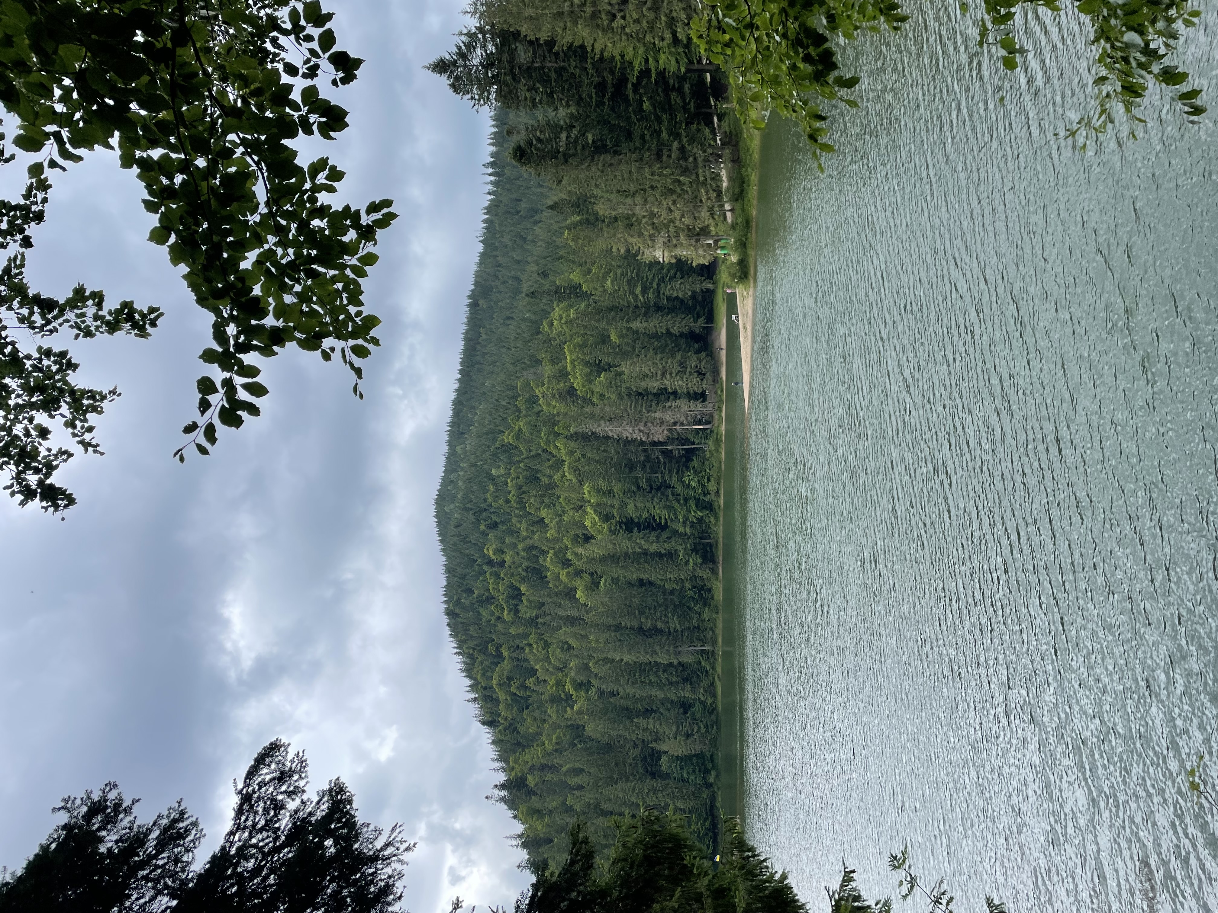 Synevyr lake
